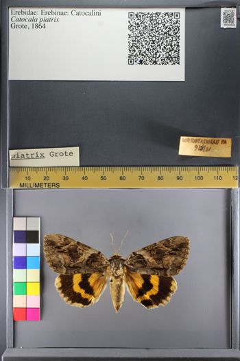 Media type: image;   Entomology 640343